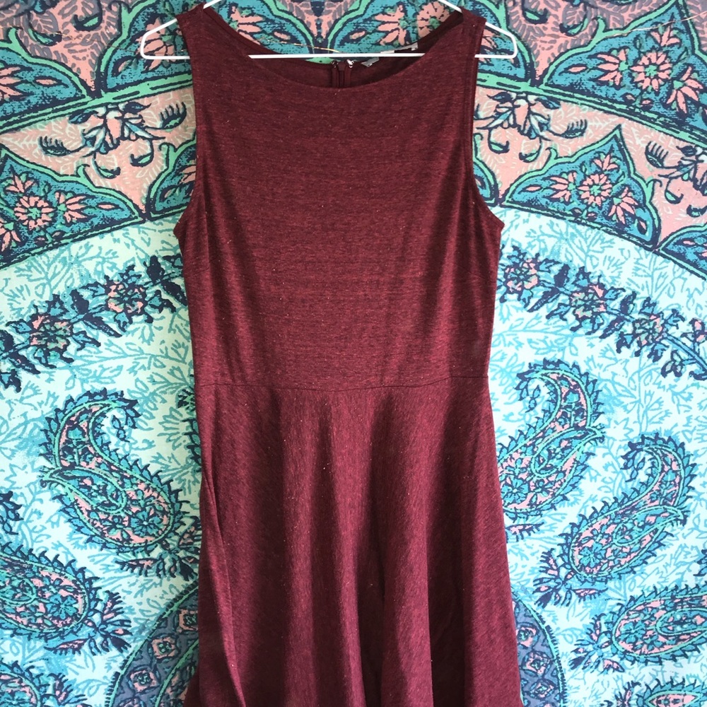LOFT Mid Length Cotton Dress
